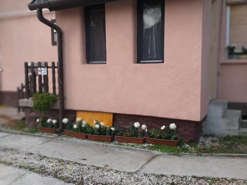 Pihenes A Malomtonal Privat Berlemeny Guest House Таполца Екстериор снимка